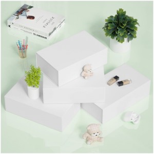 Tilpasset farve gaveæske